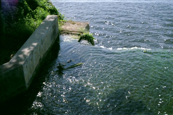 Beirette VSN 2, Fujifilm Superia 200.