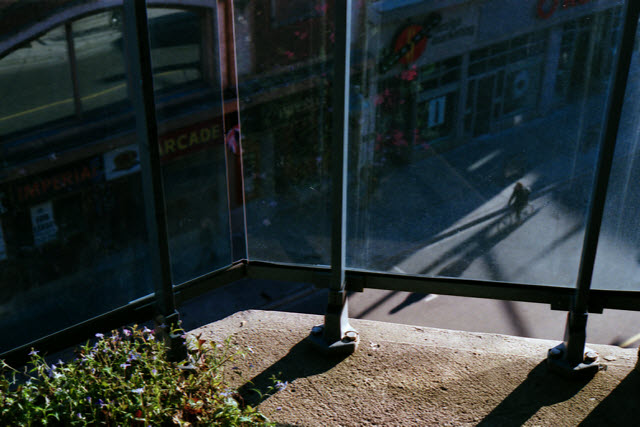 Ottawa (Canada), Canon AE-1 Program, Fujifilm Superia 200, 2012.