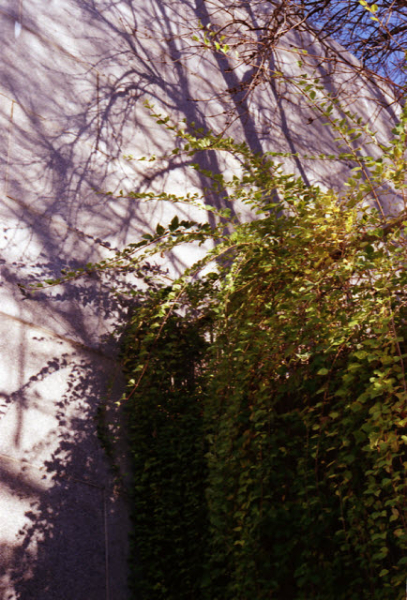 Ottawa (Canada), Canon AE-1 Program, Fujifilm Superia 200, 2012.