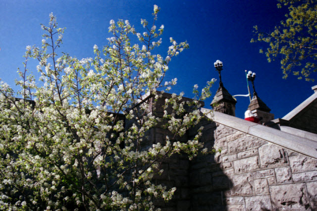 Ottawa (Canada), Canon AE-1 Program, Easypix 200, 2013.