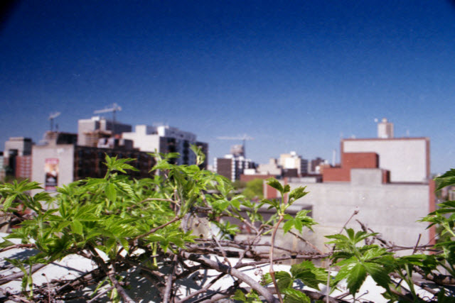 Ottawa (Canada), Canon AE-1 Program, Easypix 200, 2013.