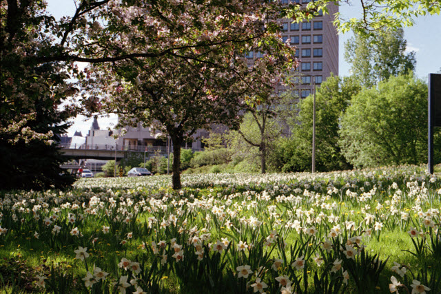 Ottawa (Canada), Canon AE-1 Program, Easypix 200, 2013.
