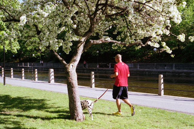 Ottawa (Canada), Canon AE-1 Program, Easypix 200, 2013.