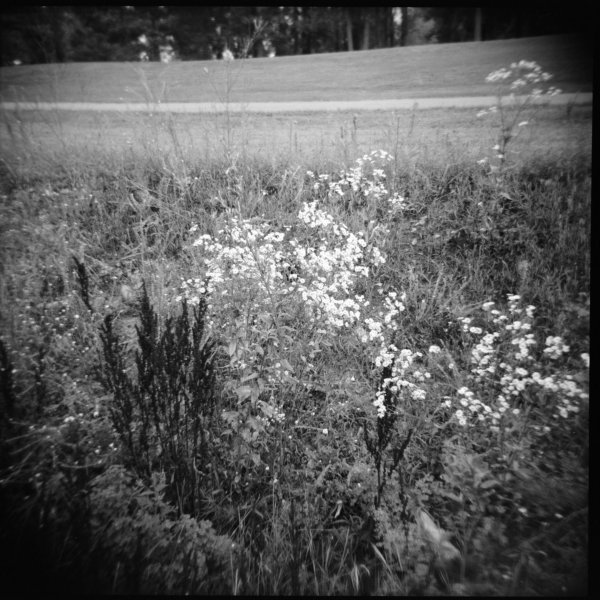 Holga 120S, Kodak 400TX, circa 2000-2002