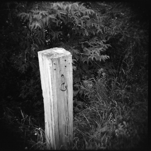 Holga 120S, Kodak 400TX, circa 2000-2002