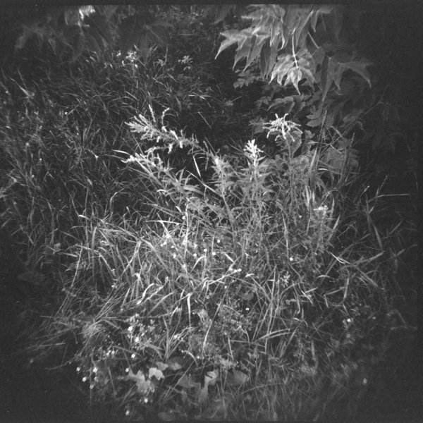 Holga 120S, Kodak 400TX, circa 2000-2002