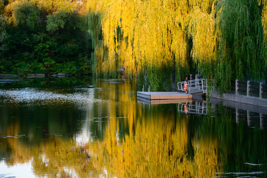 Patterson Creek, Ottawa, Canada. Nikon D7500.