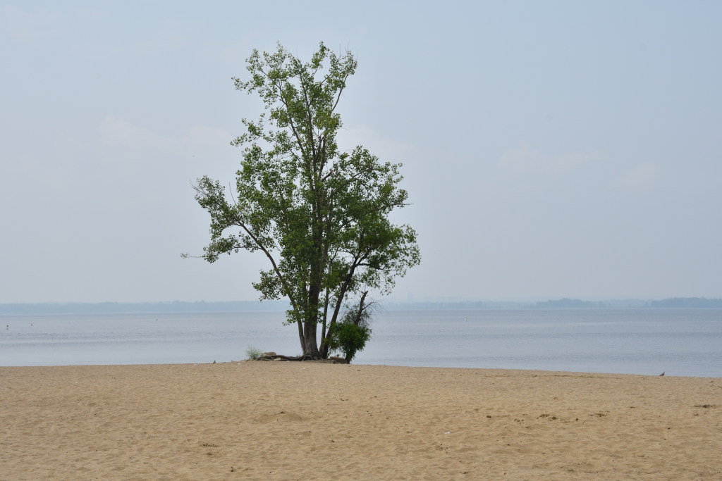 Aylmer Beach, Ottawa River, Aylmer (Quebec).
