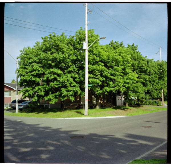 Ottawa, Canada, Kiev 60 with Volna 2.8/80mm lens, on Kodak Portra 100UC film.