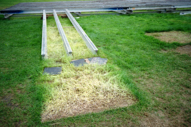 Ottawa (Canada), Kodak VR35 K80 on Easypix 200 film, 2013.