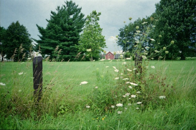Bike ride to the Central Experimental Farm, Ottawa (Canada), Kodak VR35 K80 on Easypix 200 film, 2013.