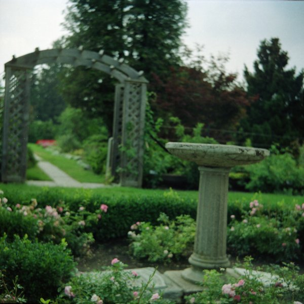 Lubitel medium format camera, Kodak Portra 400UC.
