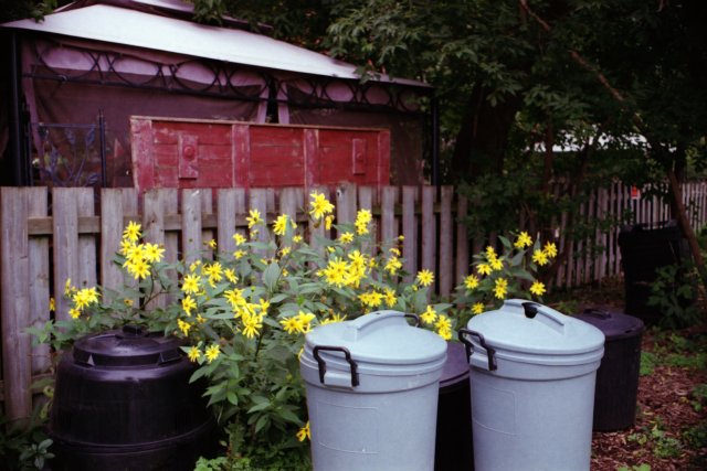 Ottawa, Nikkormat Ftn, Fuji Superia 200, 2010.