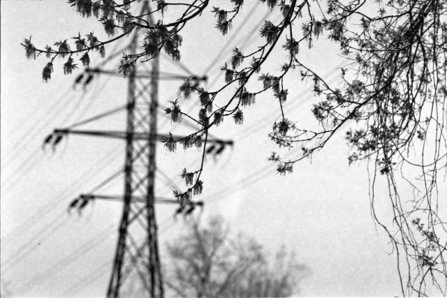 Ottawa, Nikkormat Ftn, Ilford XP2, 2013.