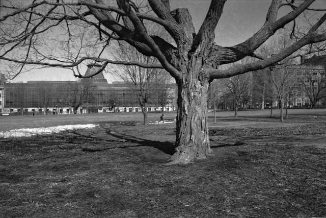 Ottawa, Nikkormat Ftn, Ilford XP2, 2013.
