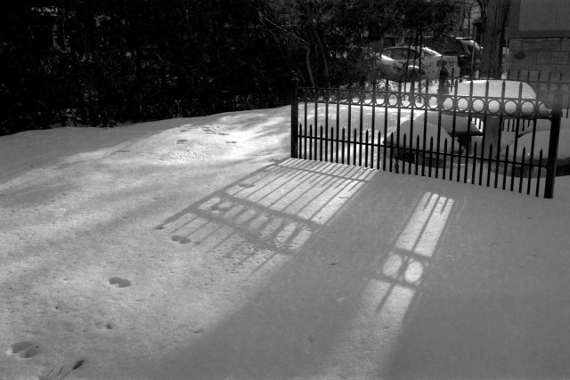 Ottawa, Nikkormat Ftn, Ilford XP2, 2013.
