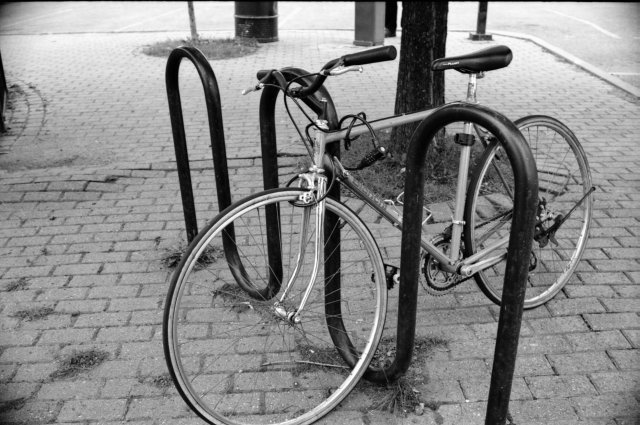Chinatown, Ottawa, Nikkormat Ftn, Ilford XP2 Super, 2010.