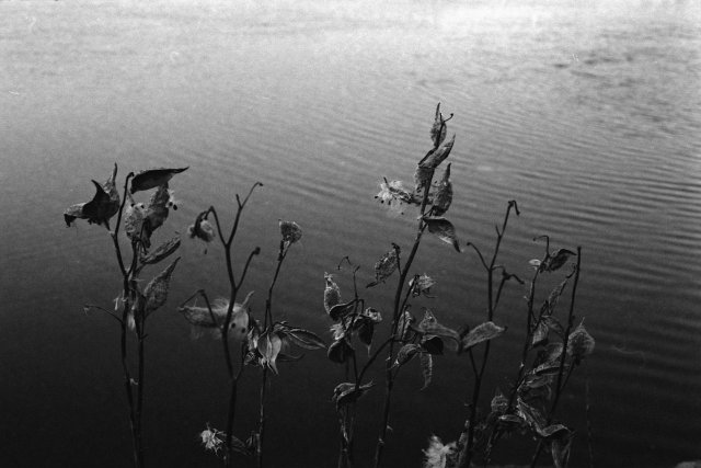 Ottawa, Nikkormat Ftn, Ilford XP2, 2011.