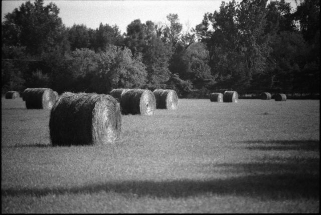 Nikon F, Ilford HP5 plus.