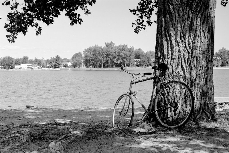 Nikon F80, Ottawa, 2002-2003