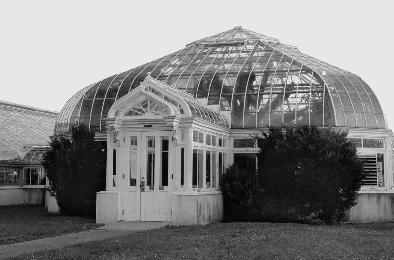 Nikon F80, Ottawa, 2002-2003