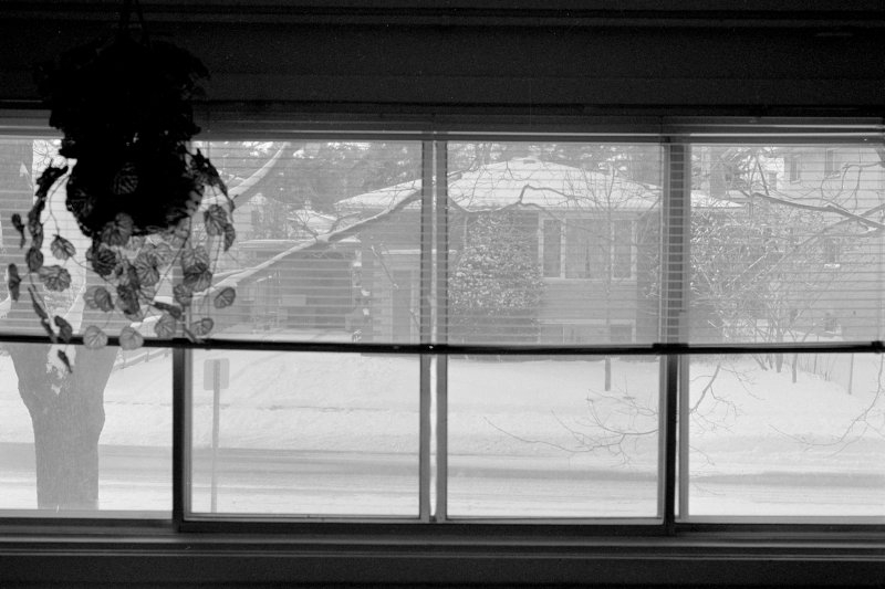 Nikon F80, Ottawa, 2002-2003