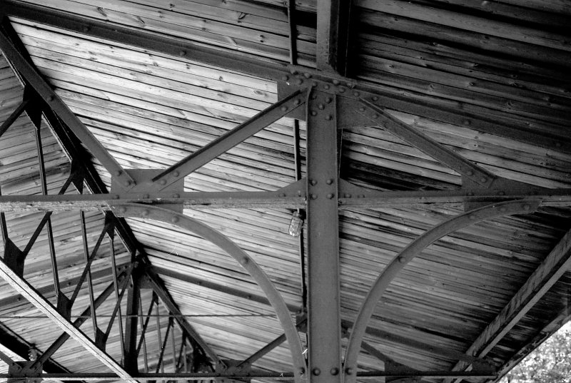 Nikon F80, Ottawa, 2002-2003