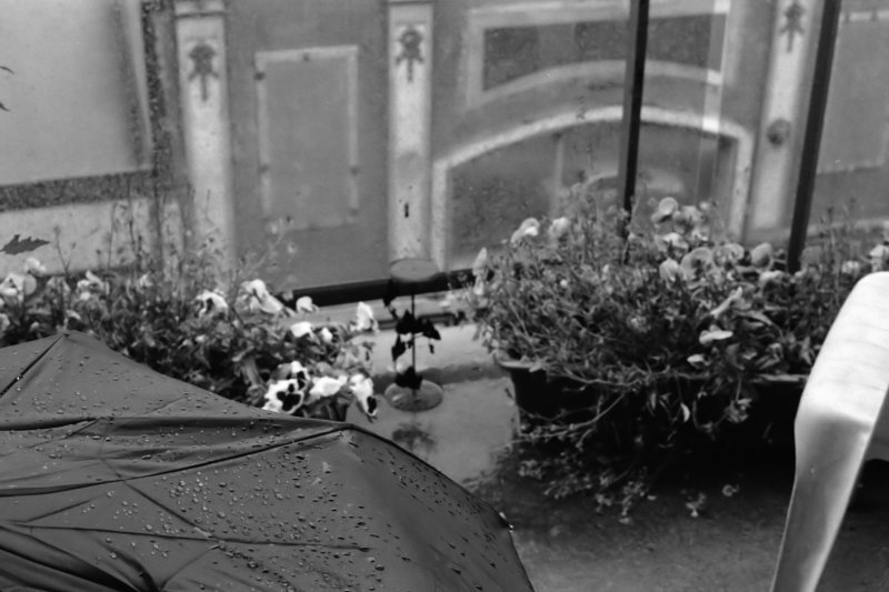 Pentax K1000, Ilford HP5, Ottawa, Canada, 2013.