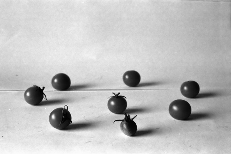 Pentax K1000, Ilford HP5, Ottawa, Canada, 2013.