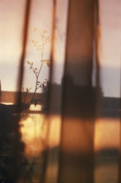 Pentax K1000, Fujifilm Superia 200, Ottawa, 2012.