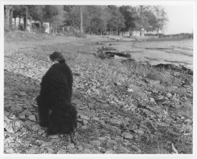 Deschênes, Québec. Pentax K2, 1976.