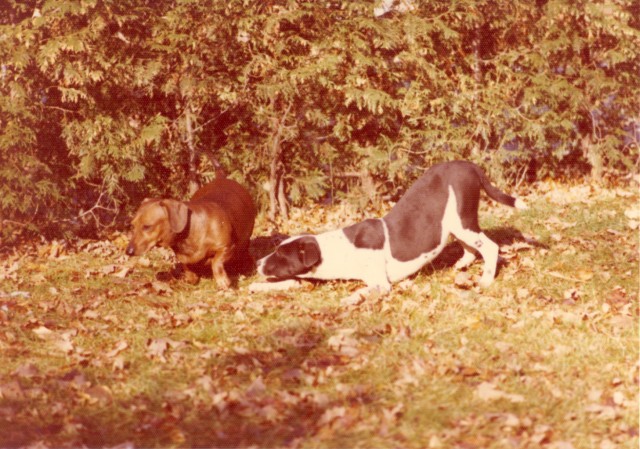 Deschênes, Québec. Pentax K2, 1976.
