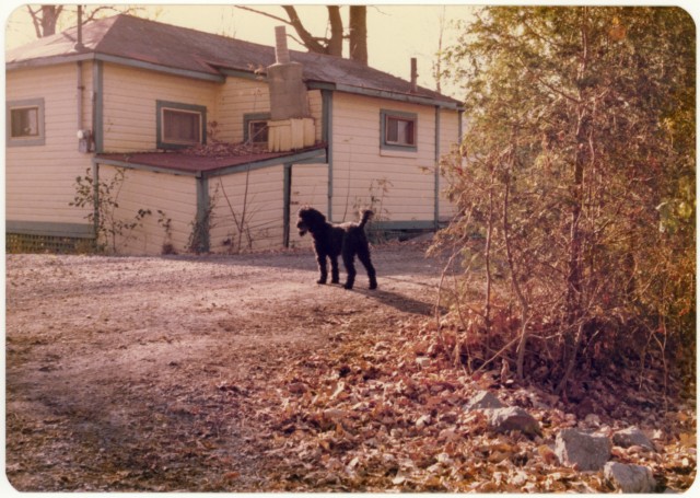 Vintage print, Deschênes, Québec, Pentax MX, 1977.