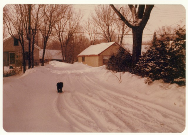 Vintage print, Deschênes, Québec, Pentax MX, 1977.