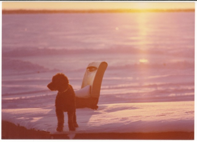 Deschênes, Québec, Pentax MX, 1976.