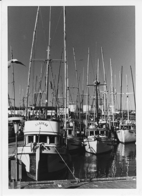Victoria BC, 1976.