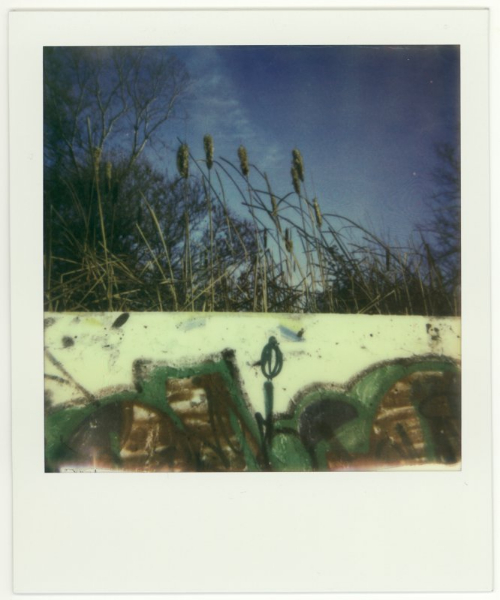 Polaroid 635CL, Impossible Project Color Protection film, Ottawa/Gatineau 2013.