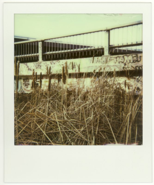 Polaroid 635CL, Impossible Project Color Protection film, Ottawa/Gatineau 2013.