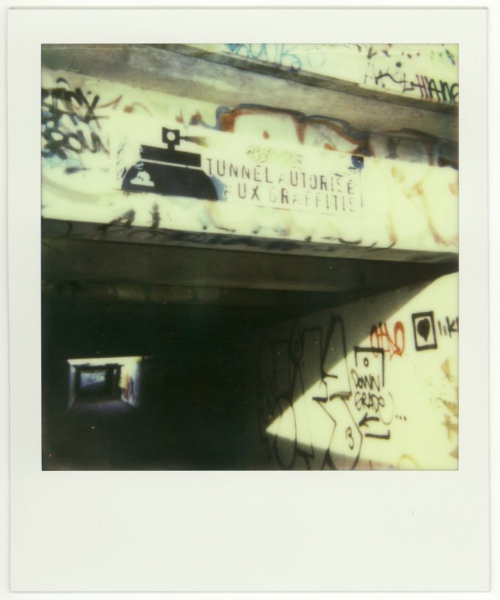 Polaroid 635CL, Impossible Project Color Protection film, Ottawa/Gatineau 2013.