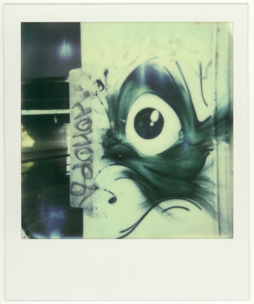 Polaroid 635CL, Impossible Project Color Protection film, Ottawa/Gatineau 2013.
