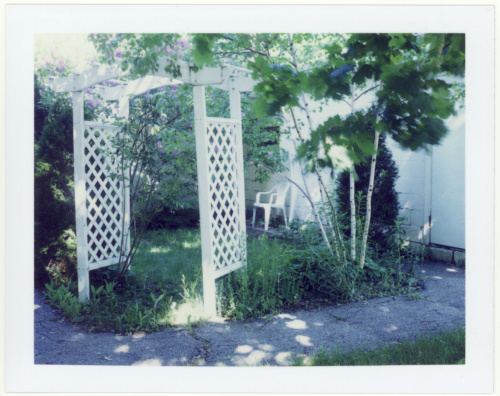 Polaroid pack film, circa 2002.