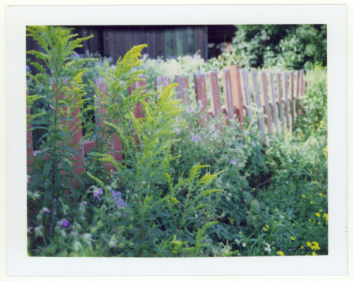 Polaroid pack film, circa 2002.
