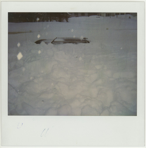 Vintage Polaroid Spectra. Vintage Polaroid Spectra. Big snowstorm of 1992, Moncton NB, 1992.