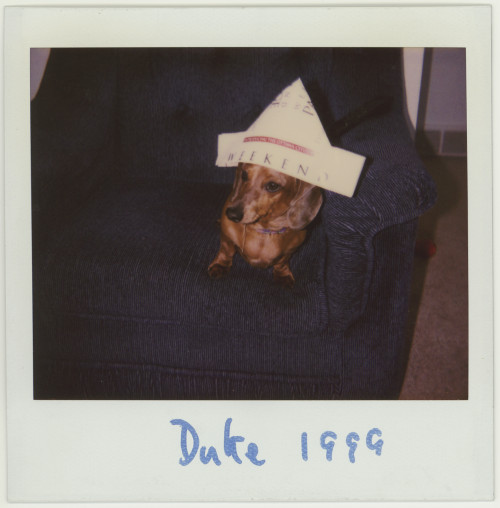 Vintage Polaroid Spectra. 