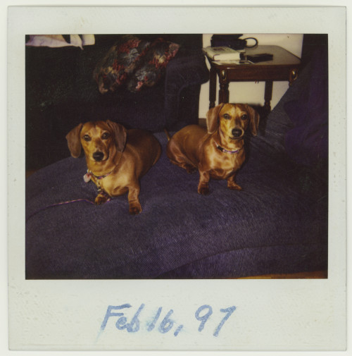Vintage Polaroid Spectra. 