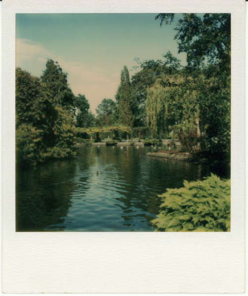 Vintage Polaroid SX-70, 1976.