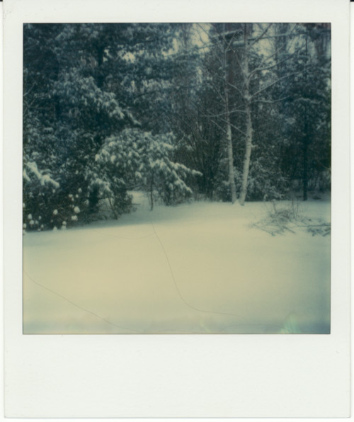 Vintage Polaroid SX-70, 1979.