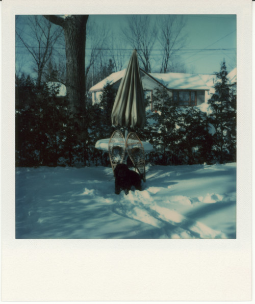 Vintage Polaroid SX-70, 1976.