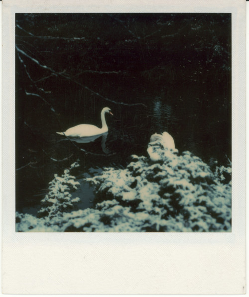 Vintage Polaroid SX-70, 1976.