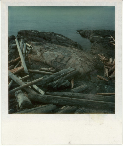 Vintage Polaroid SX-70, 1976.